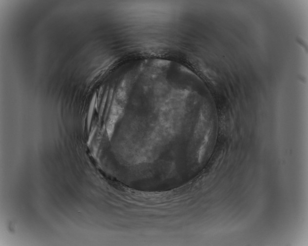 X0000091220027200708301502