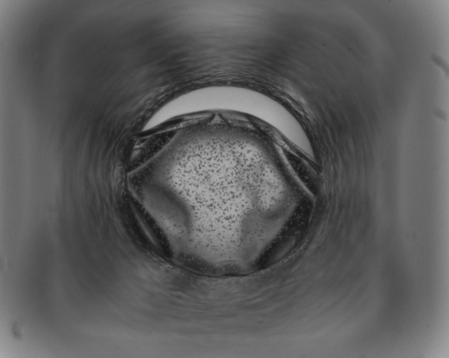 X0000091220029200708301502