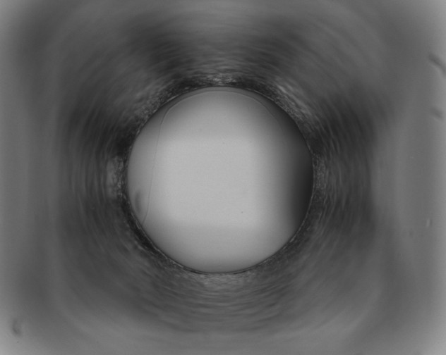 X0000091220030200708301502