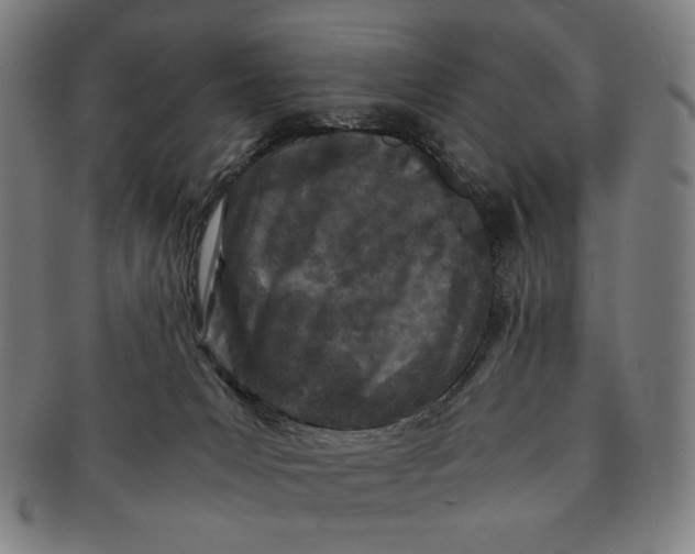 X0000091220031200708301502