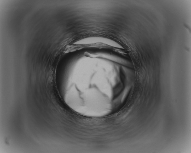 X0000091220032200708301502