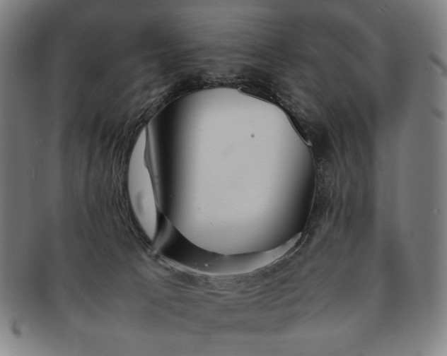 X0000091220033200708301502