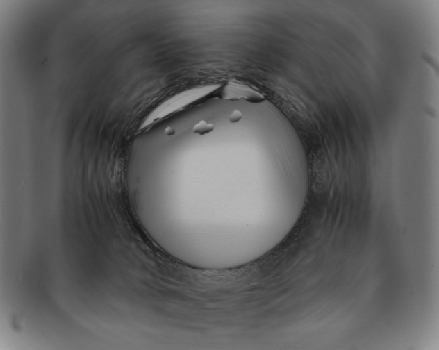 X0000091220034200708301502