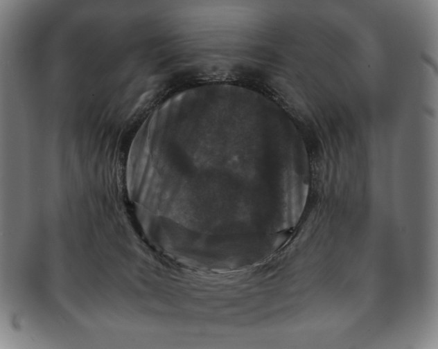 X0000091220035200708301502