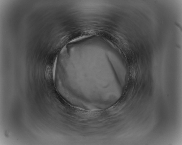 X0000091220036200708301502