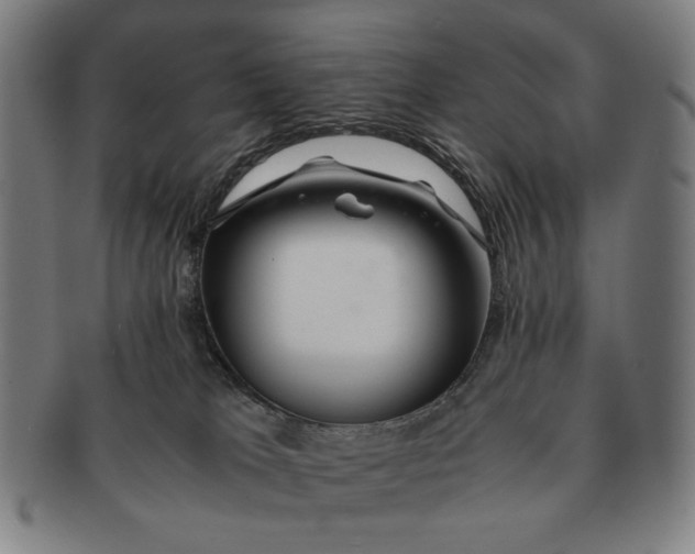 X0000091220037200708301502