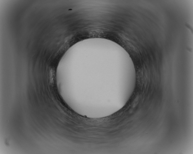 X0000091220038200708301502