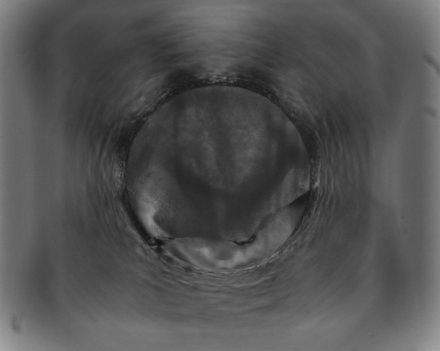 X0000091220039200708301502