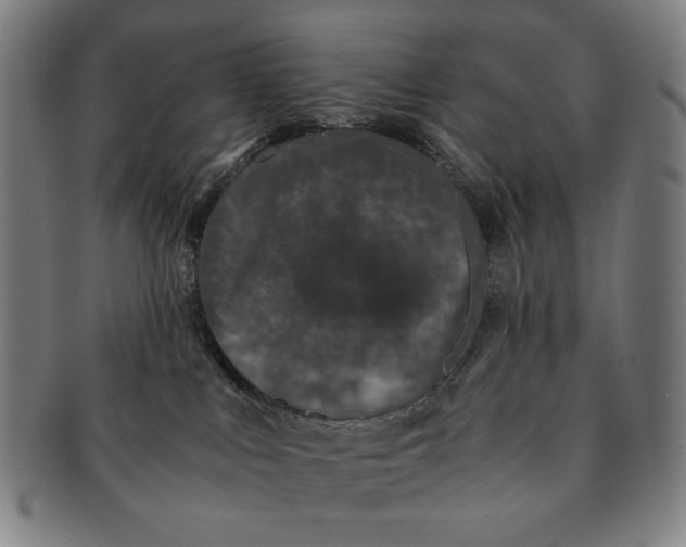 X0000091220043200708301502