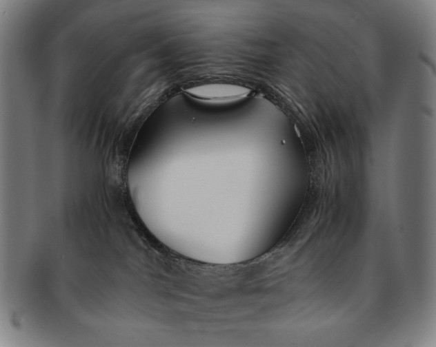 X0000091220044200708301502