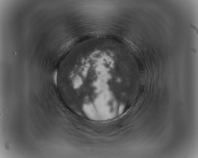 X0000091220047200708301502