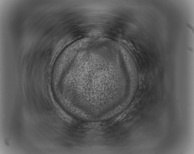 X0000091220049200708301501