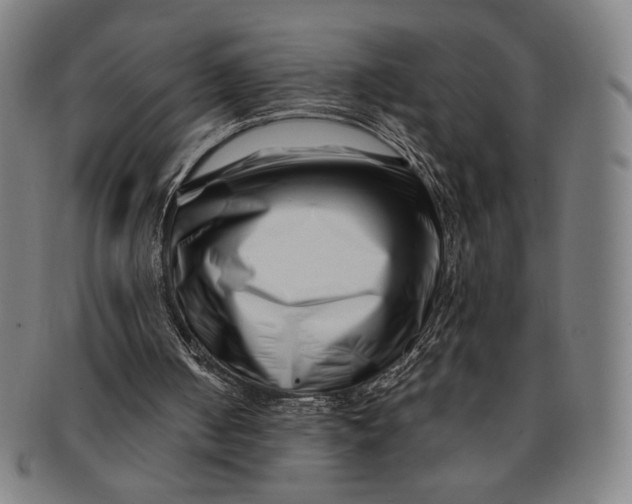 X0000091220050200708301501