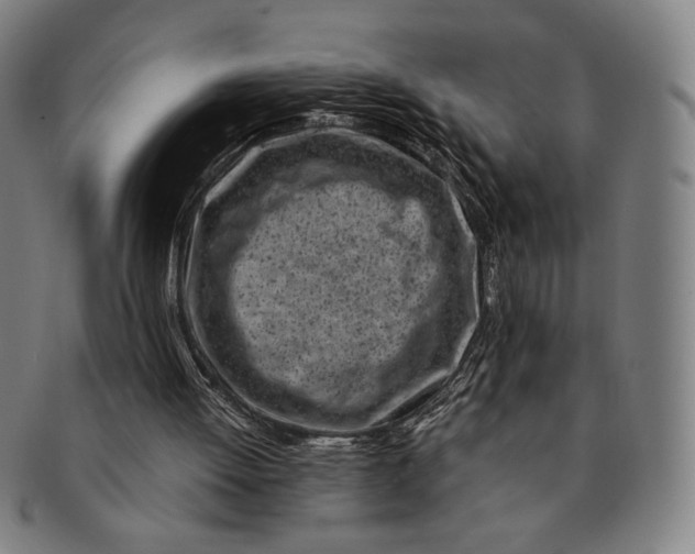 X0000091220052200708301501