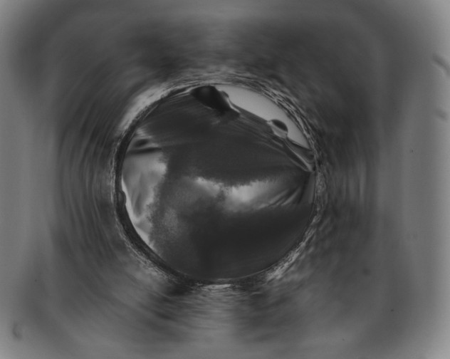 X0000091220054200708301501