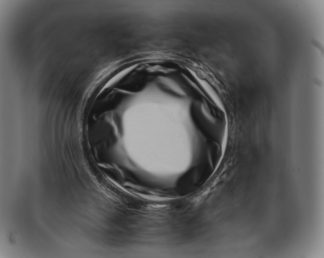 X0000091220055200708301501