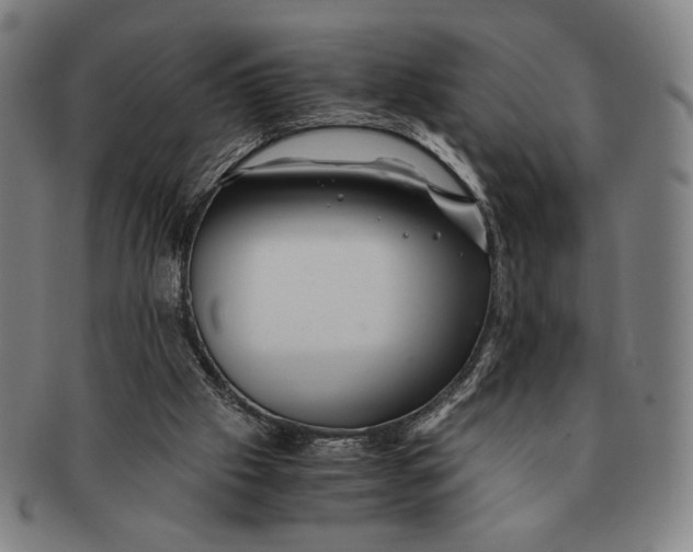 X0000091220057200708301501