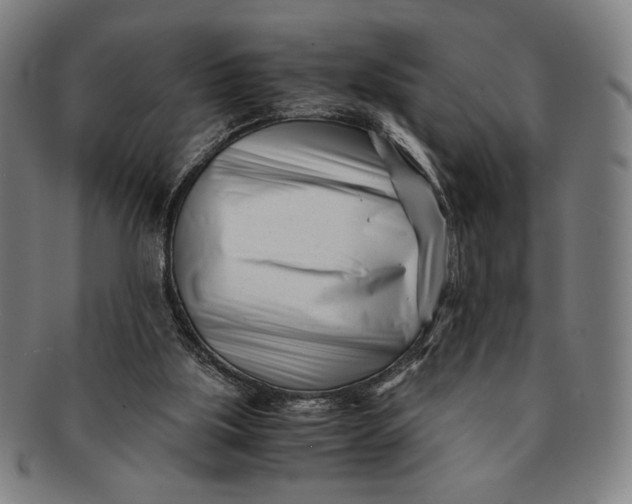 X0000091220059200708301501