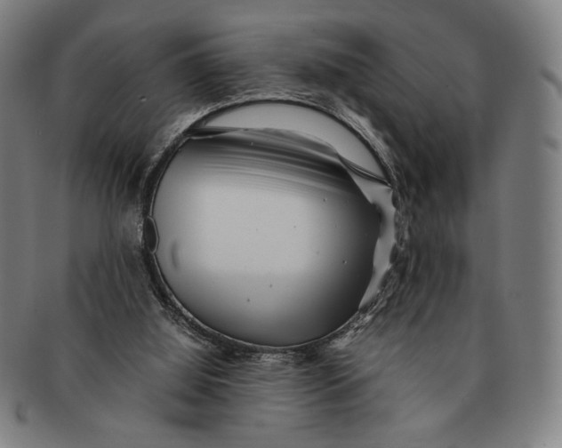 X0000091220060200708301501