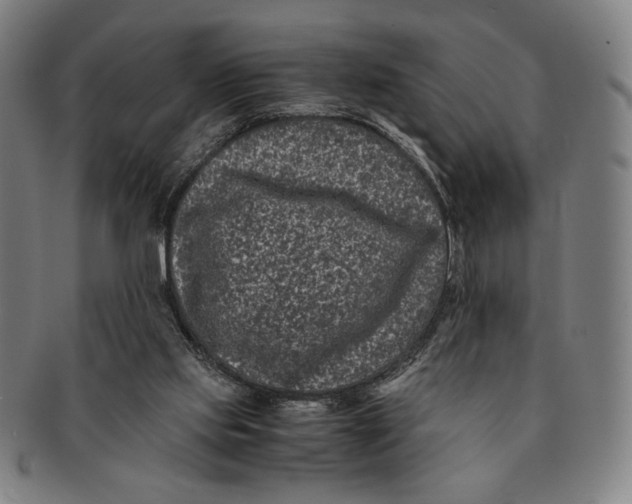 X0000091220061200708301501