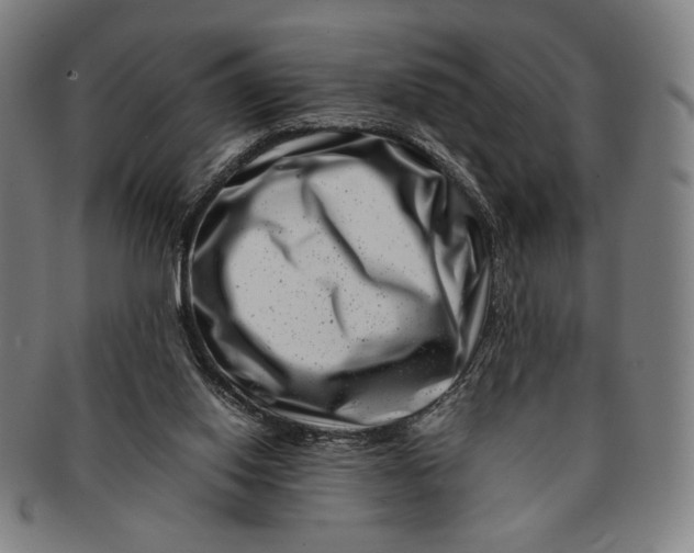 X0000091220062200708301501