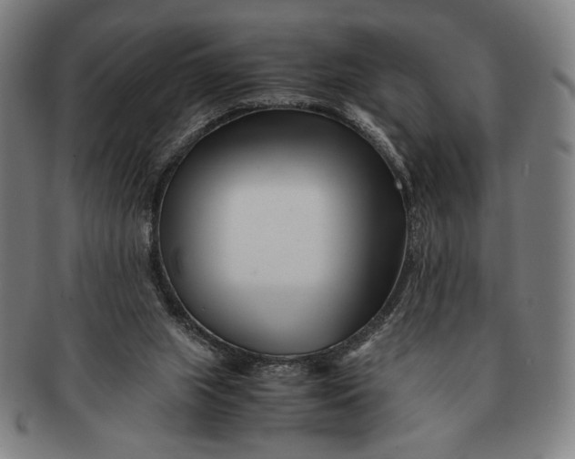 X0000091220063200708301501