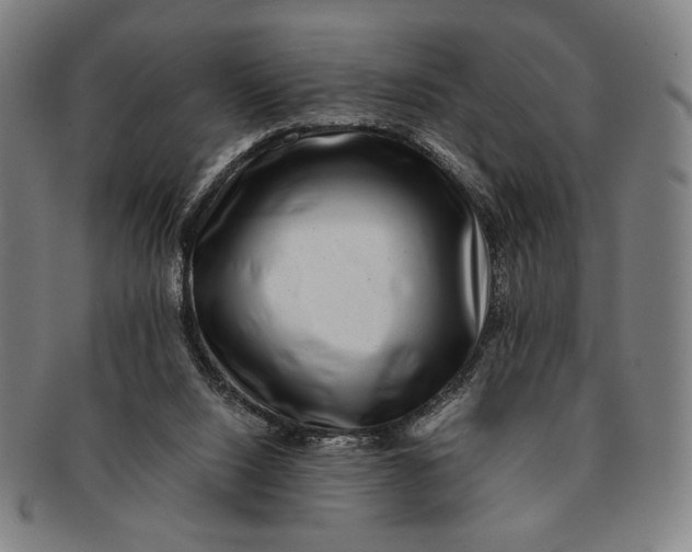 X0000091220064200708301501