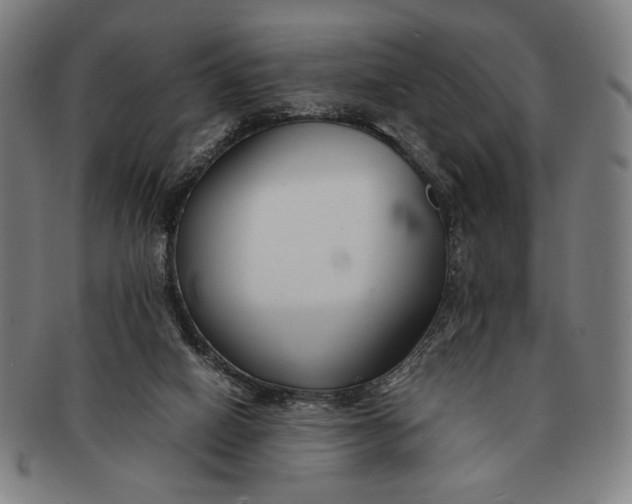 X0000091220066200708301501