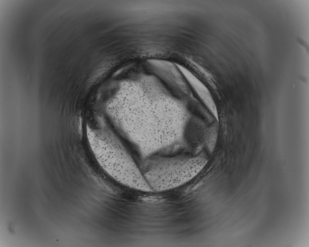 X0000091220067200708301501