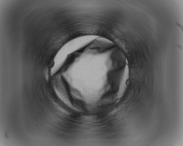 X0000091220069200708301501