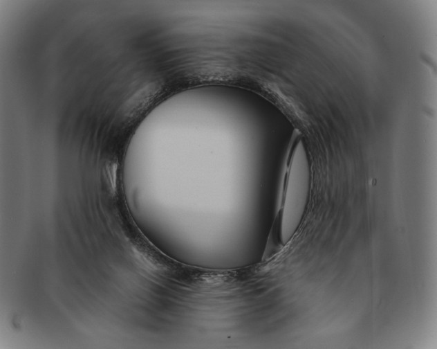 X0000091220070200708301501