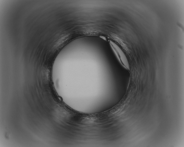 X0000091220071200708301501