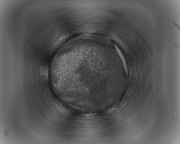 X0000091220072200708301501