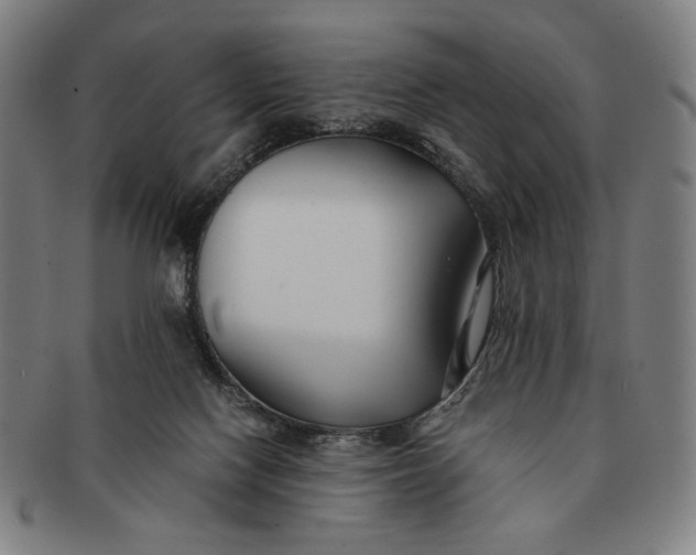 X0000091220074200708301501