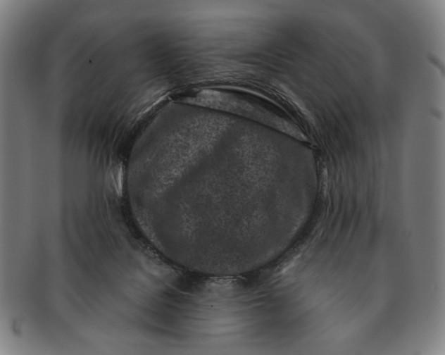 X0000091220076200708301501