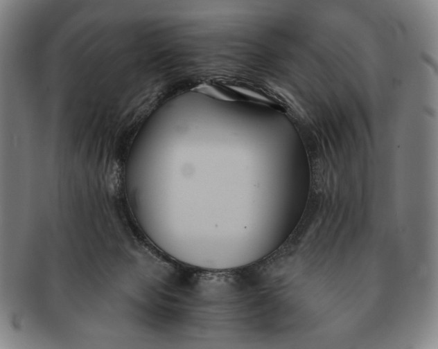 X0000091220077200708301501