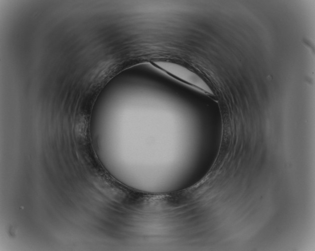 X0000091220078200708301501