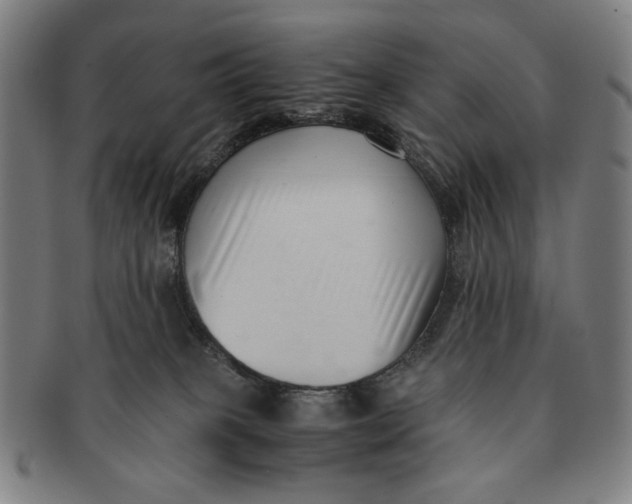 X0000091220085200708301502