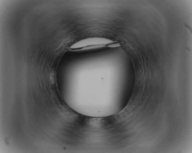 X0000091220090200708301502