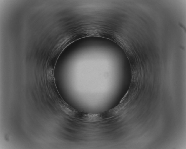 X0000091220093200708301502