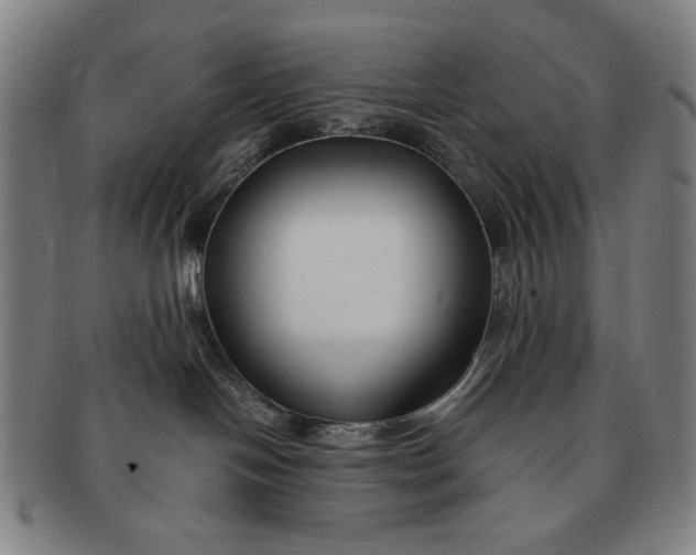 X0000091220094200708301502