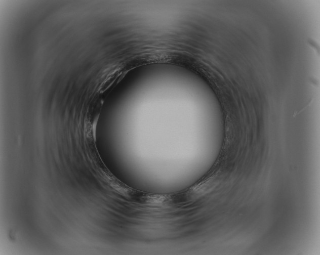 X0000091220096200708301502