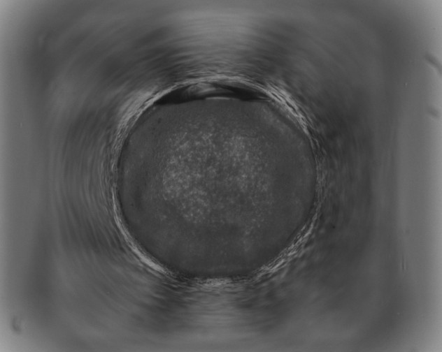 X0000091220097200708301501