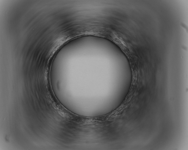 X0000091220098200708301501