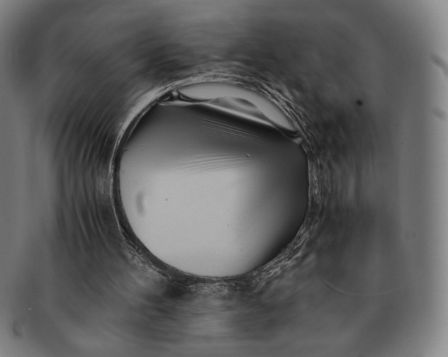 X0000091220100200708301501