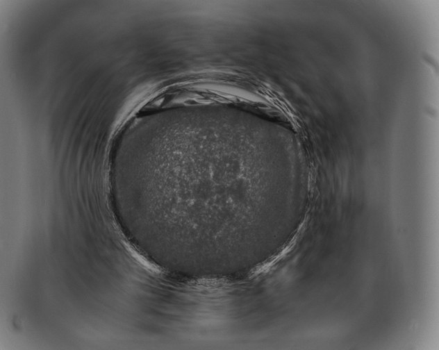 X0000091220101200708301501