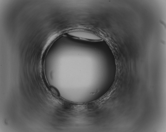 X0000091220102200708301501