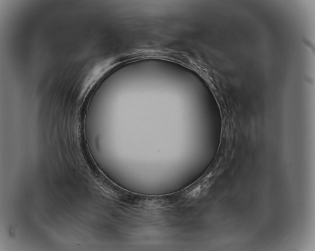 X0000091220103200708301501