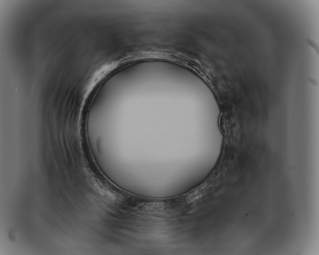 X0000091220104200708301501