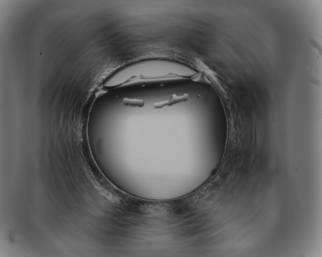 X0000091220106200708301501